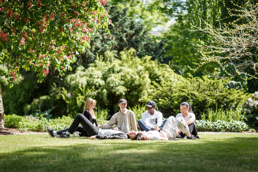 Flera ungdomar umgås i Stadsparken i Katrineholm. De både sitter och ligger ned i gräset medan de pratar med varandra. 