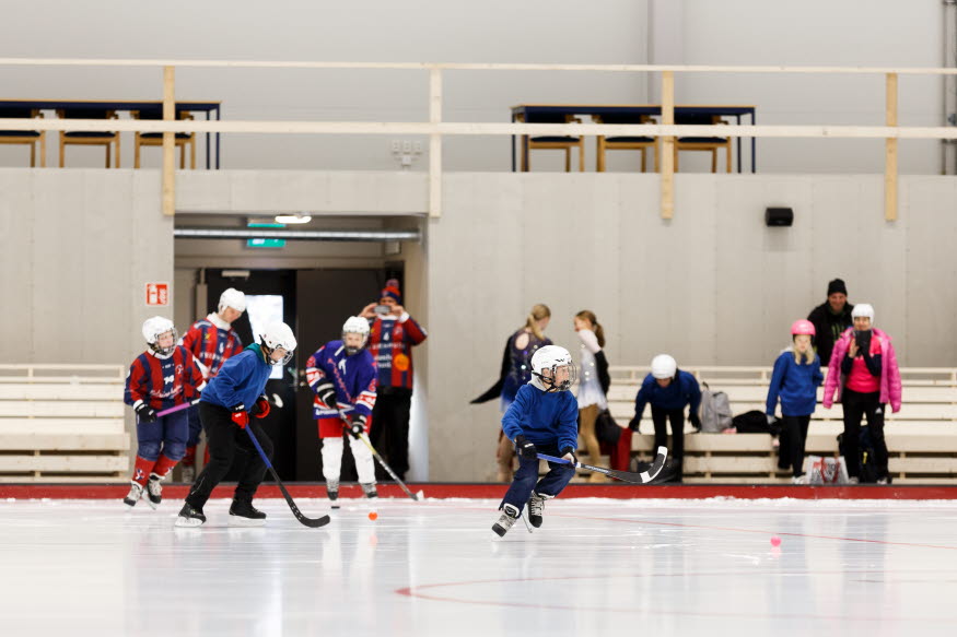 skridskoåkare, ishockeyspelare, allmänhetens åkning inne i isarenan
