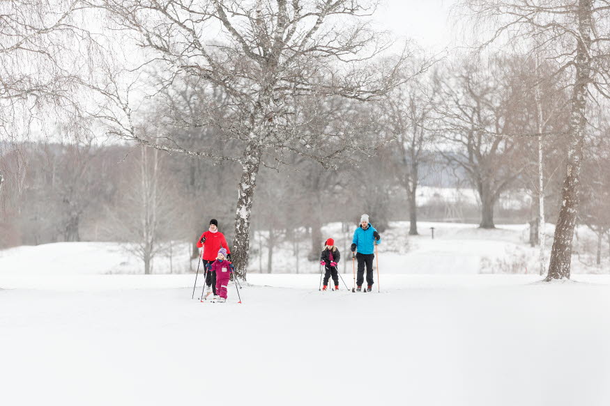 Familj som är ute på skidtur