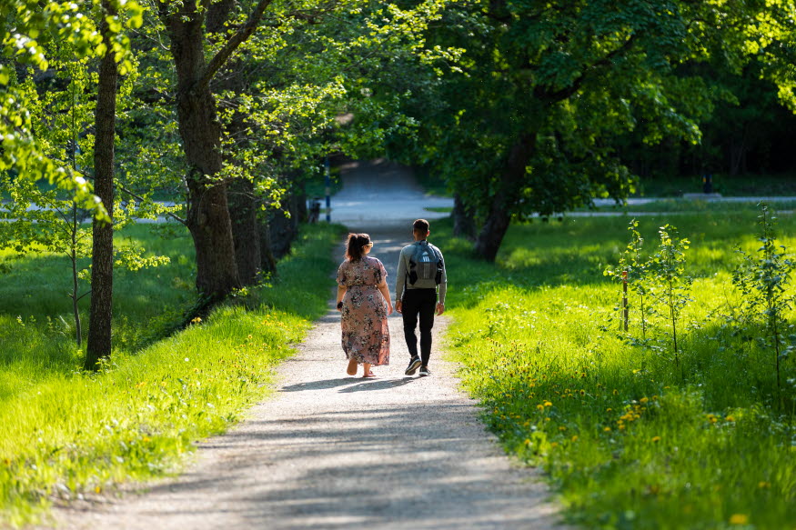 Två personer promenerar på en grusväg omgiven av träd och högt gräs.