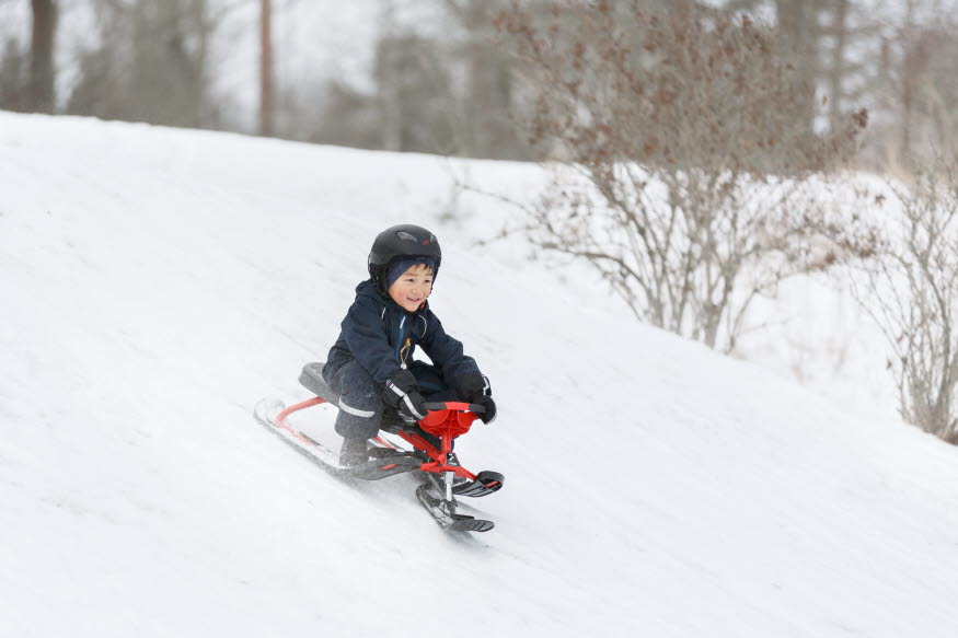 Barn som åker bob nedför en snöig pulkabacke. Foto: Hanna Maxstad.