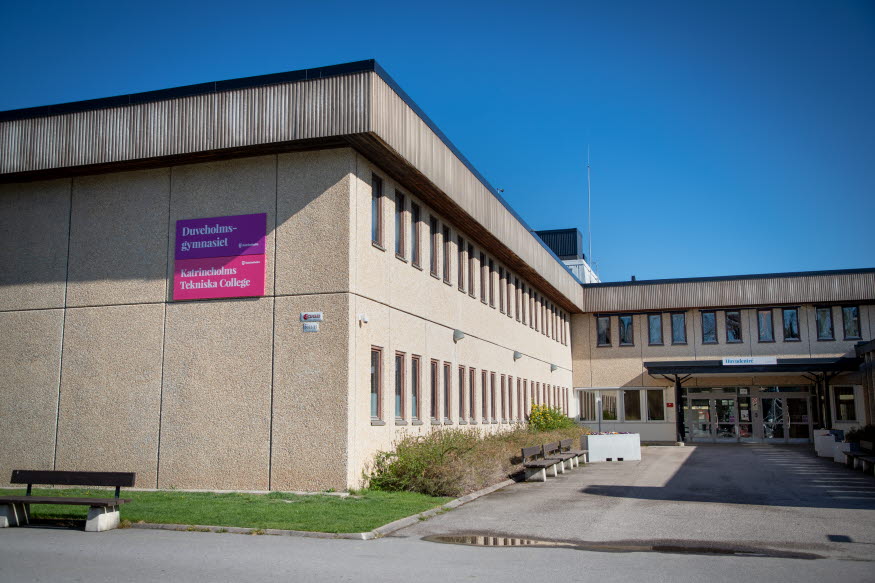 En person med långt hår, fotograferad med ryggen mot kameran. 