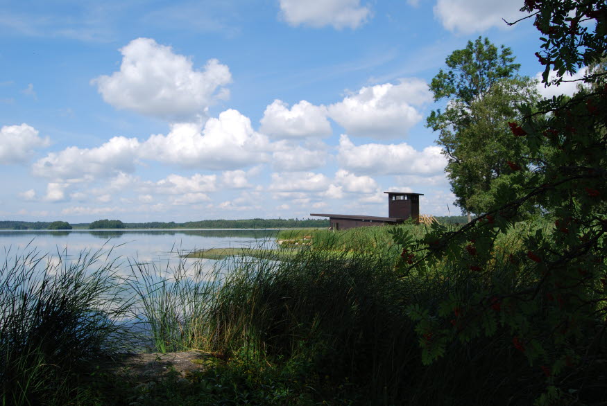 Sjön Näsnaren tillsammans med en byggnad som fungerar som ett fågeltorn. Bilden är tagen en solig sommardag med grönska och spegelblank sjö.