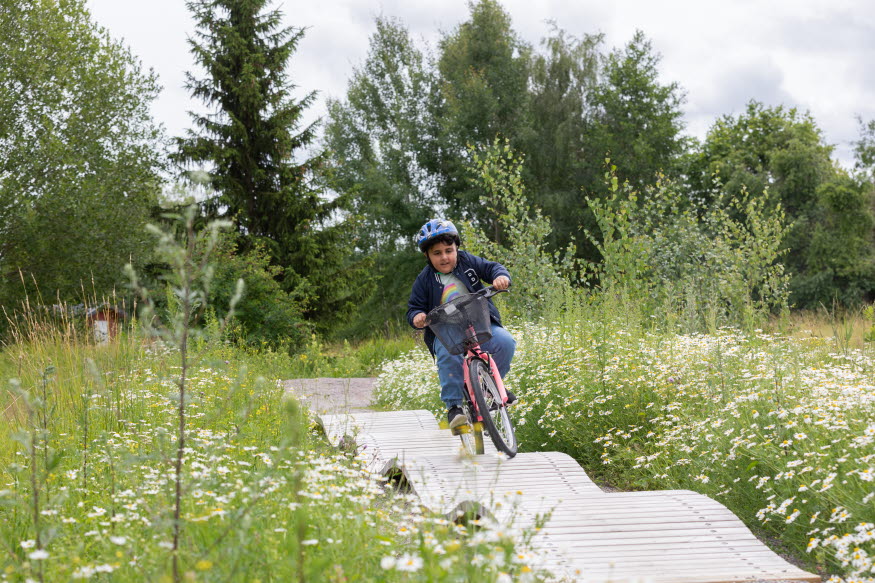 Ett barn utmanar sig själv i äventyrscykelbanan på en särskilt klurig passage. Barnhet har en blå jacka och blå hjälm på sig. 