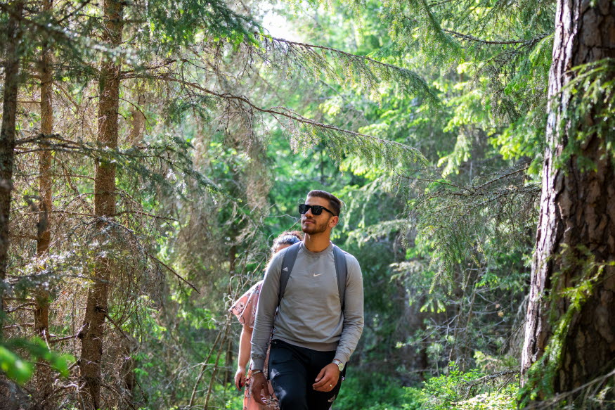 Två personer vandrar i en vacker grön skog.